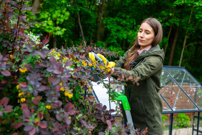 Murator Ogroduje, realizacje