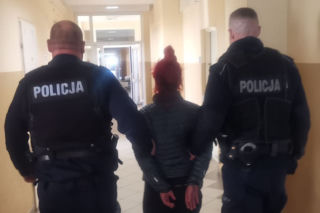 Gdańsk: Kota wyrzucono z trzeciego piętra! Zwierzę nie żyje. Policja w akcji