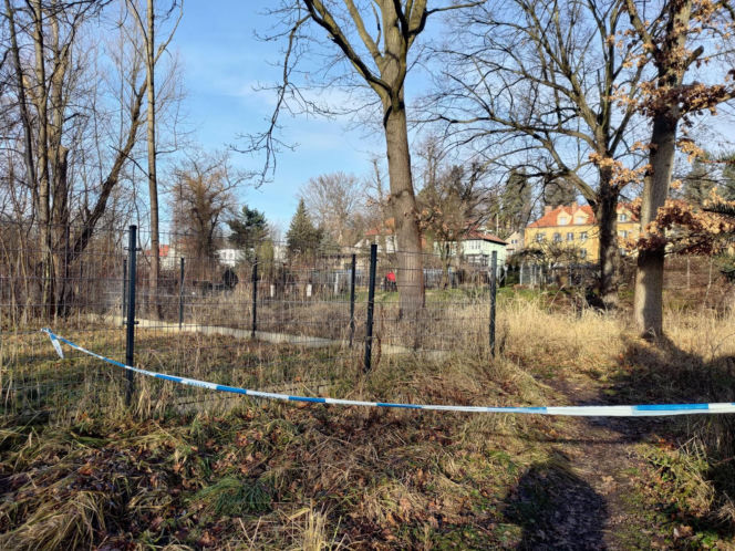 Zabójstwo 11-latki w Jeleniej Górze. Szkoła i miejsce dramatu