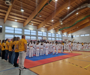 V Kyokushin Cup