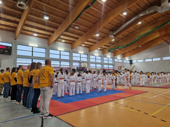 V Kyokushin Cup