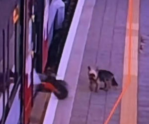 Sam wsiadł do pociągu i pojechał na gapę. Przechadzał się po wagonie i odwiedzał pasażerów