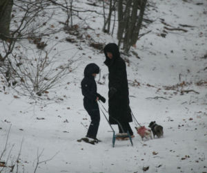Marta Kaczyńska z synem i psami na sankach w lesie