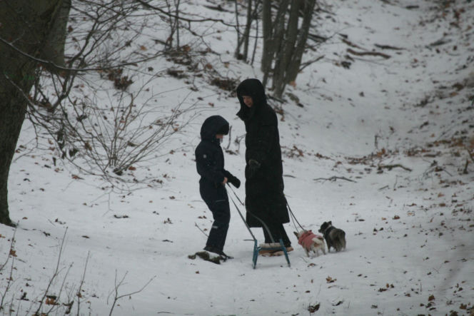 Marta Kaczyńska z synem i psami na sankach w lesie