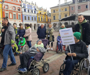 I love green na Rynku Wielkim w Zamościu