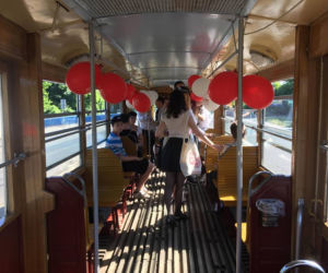 Tramwaj zwany pożądaniem w Szczecinie