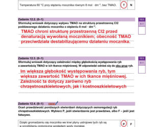 Matura 2026 biologia ROZSZERZONA: Arkusze CKE i odpowiedzi - sprawdź, czy zdałeś! 8.05.2026