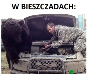 Memy o Bieszczadach