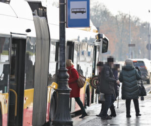 Katarzyna Bosacka w parku