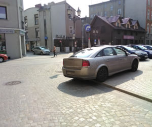 Parkują na przejściach dla pieszych, skrzyżowaniach i... przystankach autobusowych. A Straż Miejska jest bezlitosna [GALERIA]