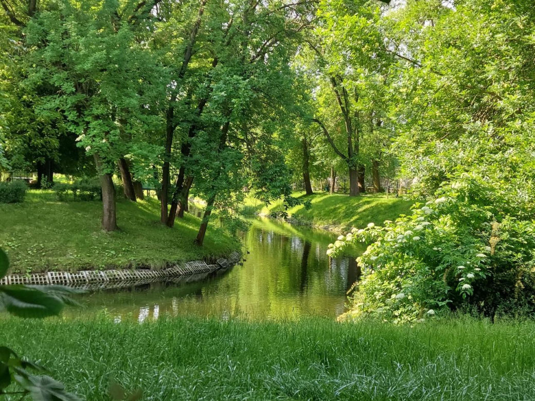 Park Miejski w Zamościu