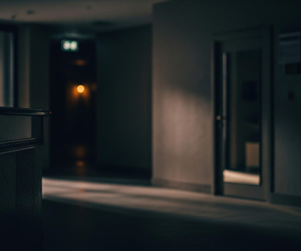 Lewa strona zdjęcia jest zdominowana przez ciemny, pionowy element, być może róg ściany lub mebla, z ozdobną listwą w górnej części. Dalej w głąb obrazu rozciąga się korytarz, oświetlony miejscowo smugami światła padającymi na podłogę. W tle widać niewyraźne, zielone światło przypominające znak wyjścia awaryjnego oraz pojedyncze, pomarańczowe światło. Po prawej stronie znajduje się ściana z drzwiami, których górna część jest wykonana ze szkła, odbijającego niewyraźne kształty. Całe wnętrze jest utrzymane w ciemnych, stonowanych barwach.