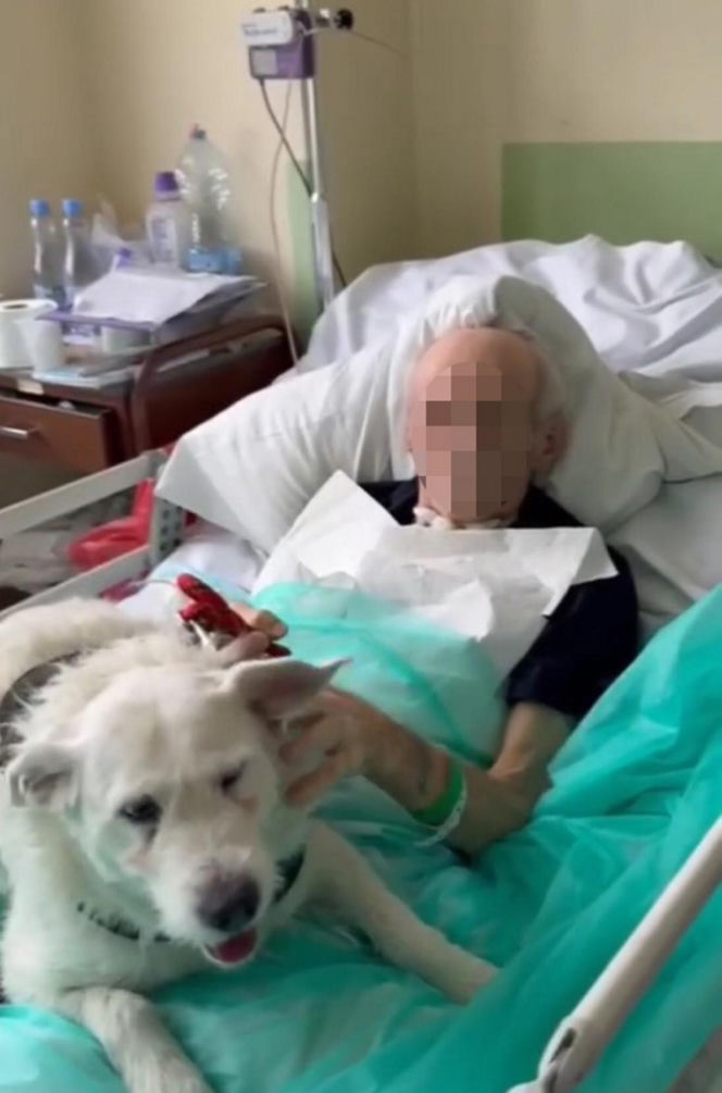 Legnica. Suczka Saba nie widziała właściciela przez 6 miesięcy. Odwiedziła go w szpitalu [ZDJĘCIA].