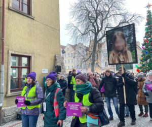 Tłumy ludzi na marszu upamiętniającym 11-letnią Danusię. Słowa rodziców dziewczynki poruszyły do głębi!