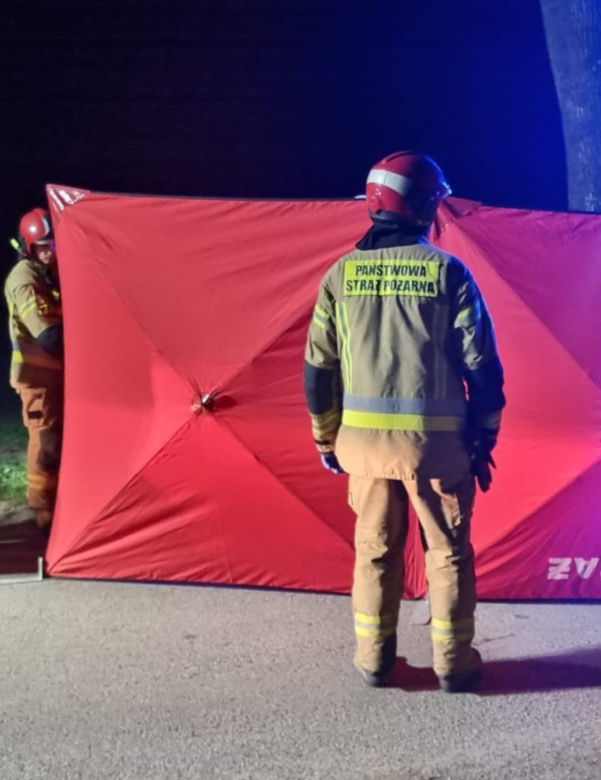 Makabryczna śmierć pod Płockiem! BMW roztrzaskało się o drzewo [ZDJĘCIA]