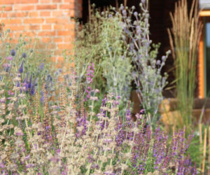 Remont domu z lat 30. i wiejski ogród