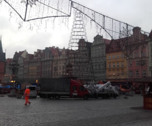 Na wrocławskim rynku montują już choinkę