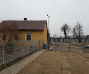 Schronisko Arka w Łomży