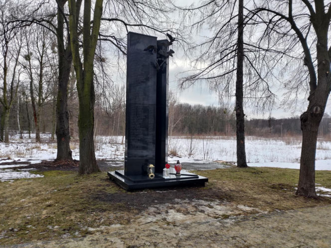 Przeżyła katastrofę hali MTK. Obok skonał jej mąż