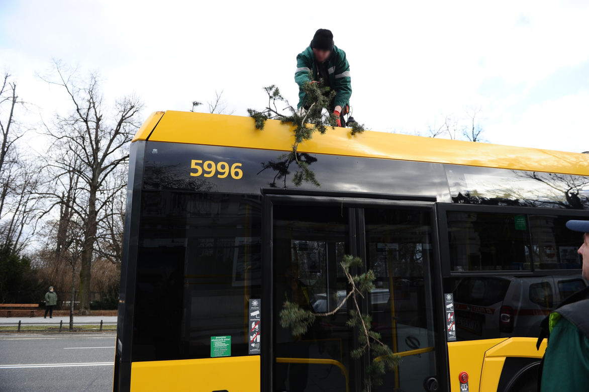 Warszawa: Al Ujazdowskie, potężne drzewo spadło na autobus i zablokowało ulicę