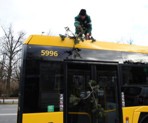 Warszawa: Al Ujazdowskie, potężne drzewo spadło na autobus i zablokowało ulicę