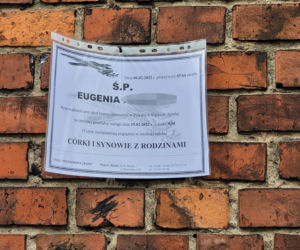 Eugenia urodziła dziesiątkę dzieci. Jedno z nich ją zabiło 