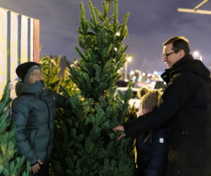 Premier Mateusz Morawiecki kupuje choinkę na święta. 