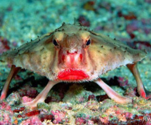 Tych memów o teściowych nie pokażesz mamie! Internauci nie mają litości