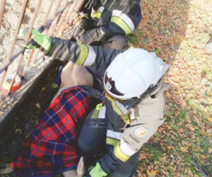 Nietypowy gość strażaków