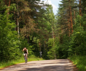 Szlak Powstania Styczniowego w Puszczy Knyszyńskiej - Supraśl