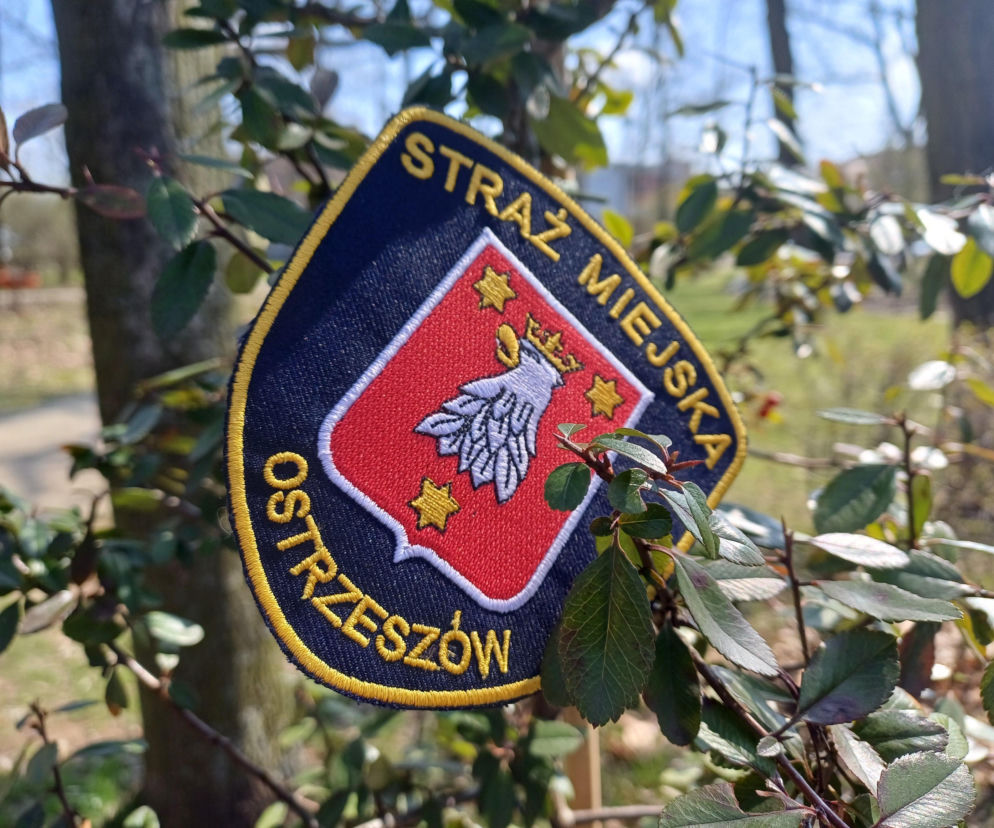 Naszywka Straży Miejskiej w Ostrzeszowie na tle zielonych liści. O interwencjach strażników przeczytasz w Eska Ostrzeszów.