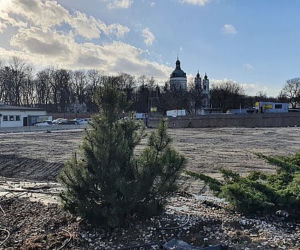 Czarny kot zniknął, na Woli księżycowy krajobraz