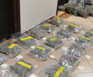 Policjanci odkryli piwnicę pełną narkotyków! Ich wartość to ponad MILION złotych! 