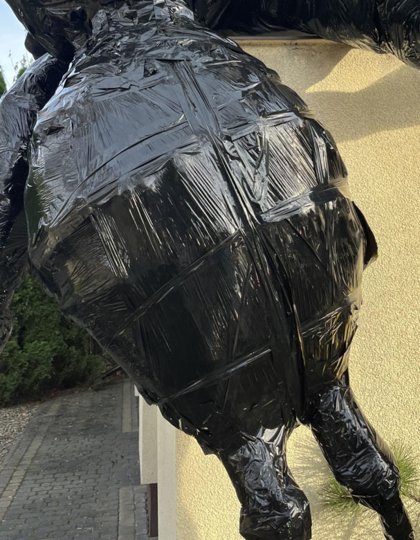 Gigantyczny pająk z plastikowych butelek ozdobił dom w Lublinie