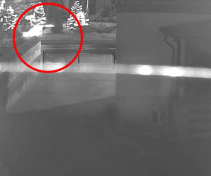 Bezmyślna dewastacja świątecznych dekoracji. Policja w akcji