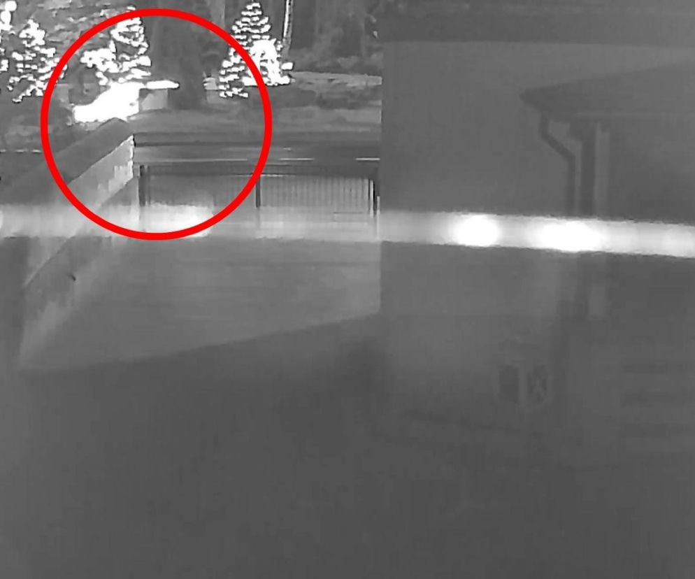 Bezmyślna dewastacja świątecznych dekoracji. Policja w akcji