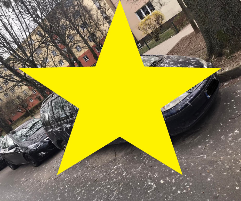 Poznań. Tak się kończy wybranie złego miejsca parkingowego. Przesrane