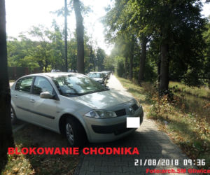 Janusze parkowania nie odpuszczają! Zobaczcie jak robią to najlepsi z nich