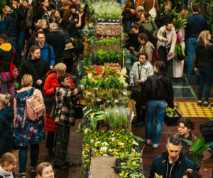 Festiwal Roślin trwa w Nowym Sączu. To coś dla fanów kwiatów i zieleni