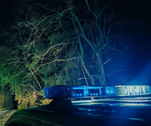 Kierowca wyrzucił turystkę z autobusu i zostawił ją w lesie. Interweniowali policjanci