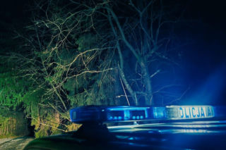 Kierowca wyrzucił turystkę z autobusu i zostawił ją w lesie. Interweniowali policjanci