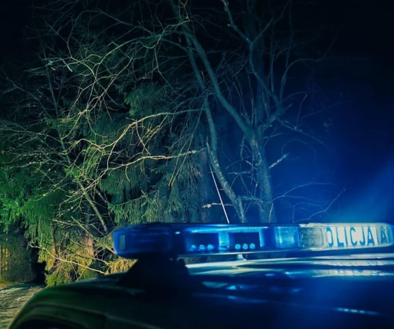 Kierowca wyrzucił turystkę z autobusu i zostawił ją w lesie