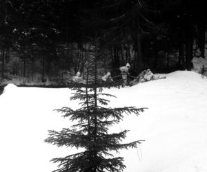 Żołnierze jednorazowego użytku