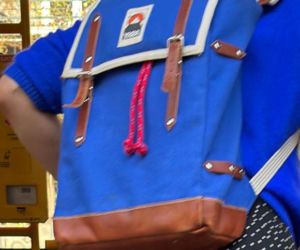 Tak Damięcka dba o psa