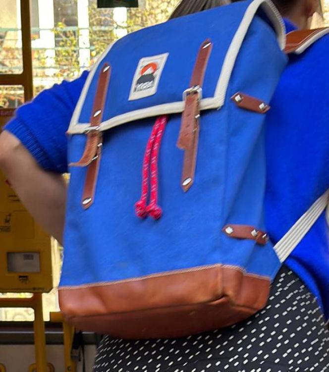 Tak Damięcka dba o psa