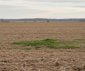 Ważny wyrok TK ws. 20 mln działek w Polsce