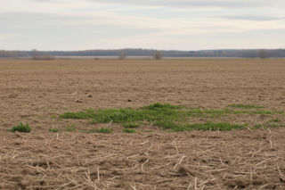 Ważny wyrok TK ws. 20 mln działek w Polsce