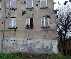 Dziwne, zabawne i bez dwóch zdań - kreatywne reklamy, billboardy, napisy w przestrzeni miejskiej