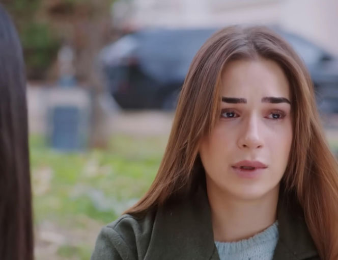 Miłość i nadzieja, odcinek 342. Sila, Bahar