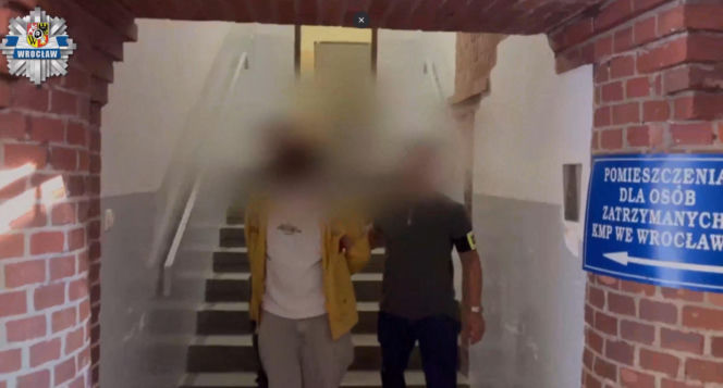 Horror na Dolnym Śląsku. 19-latek podejrzany o przestępstwa seksualne wobec dzieci